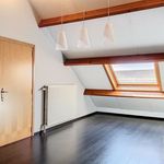 Rent 3 bedroom house in Hasselt