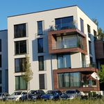 Rent 1 bedroom apartment of 53 m² in Potsdam