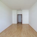 Rent 1 bedroom apartment of 45 m² in Meißen