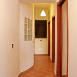 Affitto 3 camera appartamento di 65 m² in Bagheria