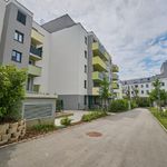 Rent 2 bedroom apartment of 50 m² in Vienna