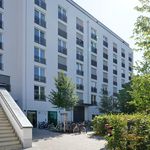 Rent 1 bedroom apartment of 25 m² in Dresden