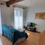 Rent 1 bedroom apartment of 36 m² in Vichy