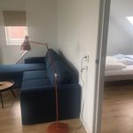 Rent 1 bedroom apartment of 32 m² in Schoondijke