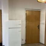 Rent 1 bedroom apartment of 47 m² in Jáchymov