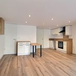 Rent 3 bedroom apartment of 66 m² in Villé