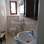 Rent 4 bedroom apartment of 100 m² in San Giovanni Rotondo