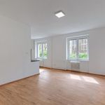 Rent 2 bedroom apartment of 51 m² in Plzeň