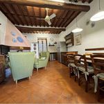Rent 3 bedroom apartment of 90 m² in Pietrasanta