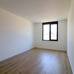 Rent 4 bedroom house of 155 m² in Hoef