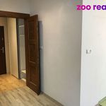 Rent 1 bedroom apartment of 45 m² in Přerov