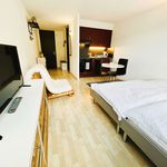 Rent 1 bedroom apartment of 24 m² in Crans-Montana