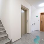 Rent 1 bedroom apartment of 43 m² in České Budějovice