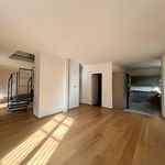 Affitto 7 camera casa di 384 m² in Torino