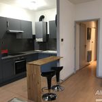 Rent 2 bedroom apartment of 50 m² in Montbéliard