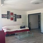  appartement avec 1 chambre(s) en location à Aix-les-Bains