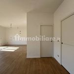 Affitto 3 camera appartamento di 90 m² in Cuneo