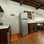 Rent 3 bedroom apartment of 90 m² in Pietrasanta