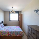 Alquilar 2 dormitorio apartamento en Paterna