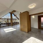 Rent 3 bedroom apartment of 110 m² in Lichnov