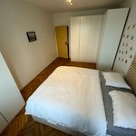 Rent 3 bedroom apartment in Uherské Hradiště