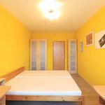 Rent 3 bedroom apartment of 63 m² in Prague
