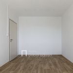 Rent 3 bedroom apartment of 65 m² in Praha