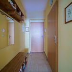 Rent 1 bedroom apartment of 30 m² in Pardubice