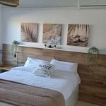 Rent 1 bedroom apartment in l'Hospitalet de Llobregat