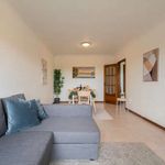 Rent 2 bedroom apartment in São Mamede de Infesta