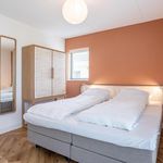 Rent 5 bedroom house in Noordwijk