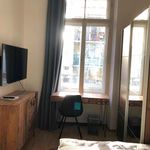 Rent 4 bedroom apartment in Munich