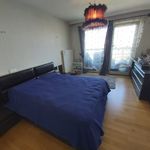 Rent 4 bedroom house in Çankaya