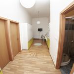 Rent 1 bedroom apartment of 55 m² in Brno