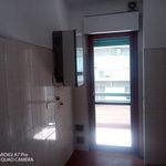 Affitto 3 camera appartamento di 90 m² in Lanciano