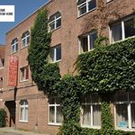 Rent 1 bedroom apartment of 25 m² in Leuven