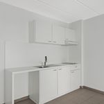 Rent 1 bedroom apartment of 32 m² in Antwerpen