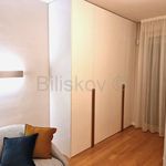Rent 4 bedroom apartment of 155 m² in Srebrnjak
