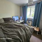 Rent 8 bedroom student apartment in Hatfield