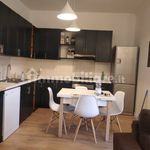 Affitto 4 camera appartamento di 110 m² in Catanzaro
