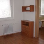 Rent 1 bedroom apartment in Prostějov