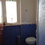 Rent 3 bedroom house of 90 m² in Campomarino