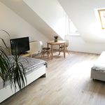 Rent 1 bedroom apartment of 31 m² in Speyer
