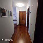 Rent 1 bedroom apartment in Ilha