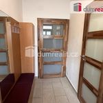 Rent 2 bedroom apartment of 49 m² in Duchcov