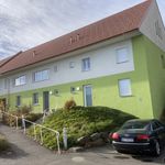 Rent 3 bedroom apartment of 67 m² in Wolfau