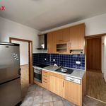 Rent 3 bedroom apartment of 72 m² in Prague