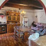 Rent 4 bedroom apartment of 70 m² in Pisa