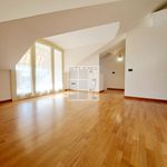 Rent 2 bedroom apartment of 120 m² in Loreggia