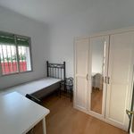 Rent 3 bedroom apartment of 75 m² in Sevilla